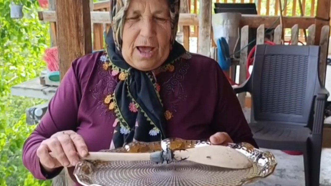 evine-giren-bu-bocegi-sakin-oldurme-cezasi-557-bin-tl-dunyada-koleksiyon-degeri-var