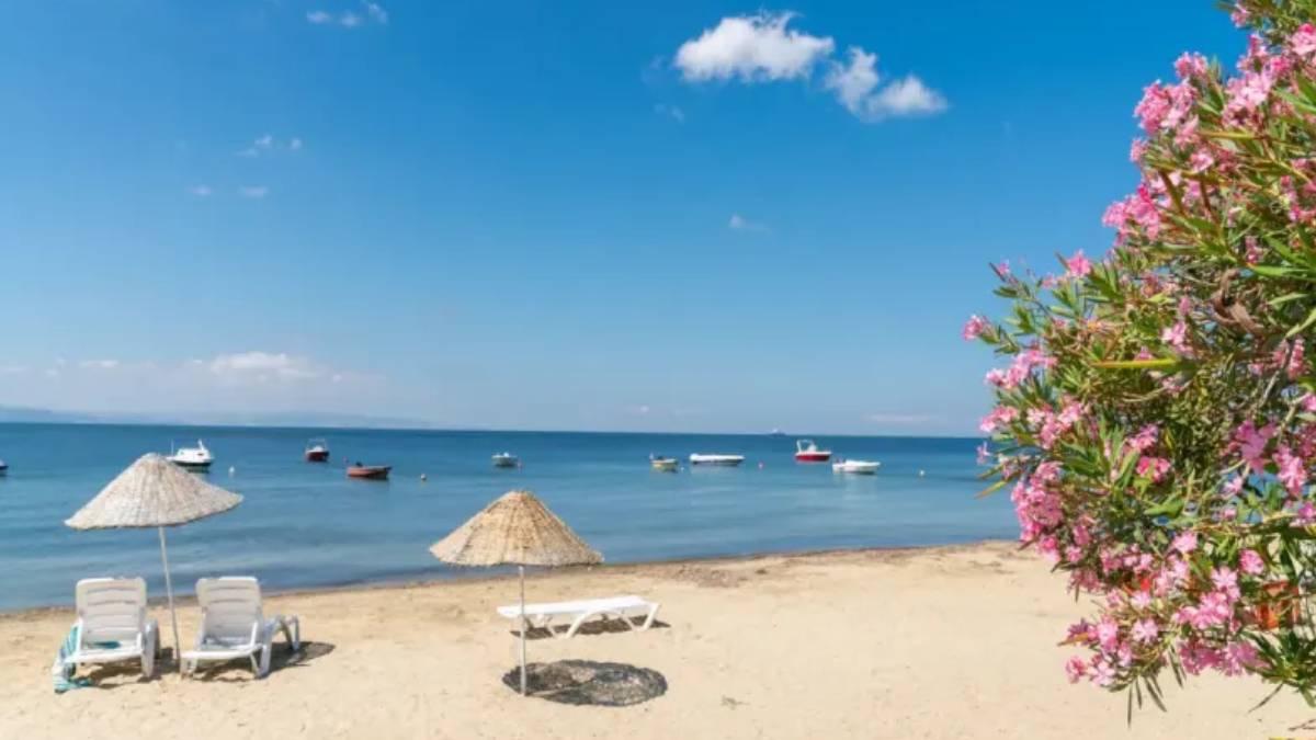 yeni-proje-2025-06-07t133549-201