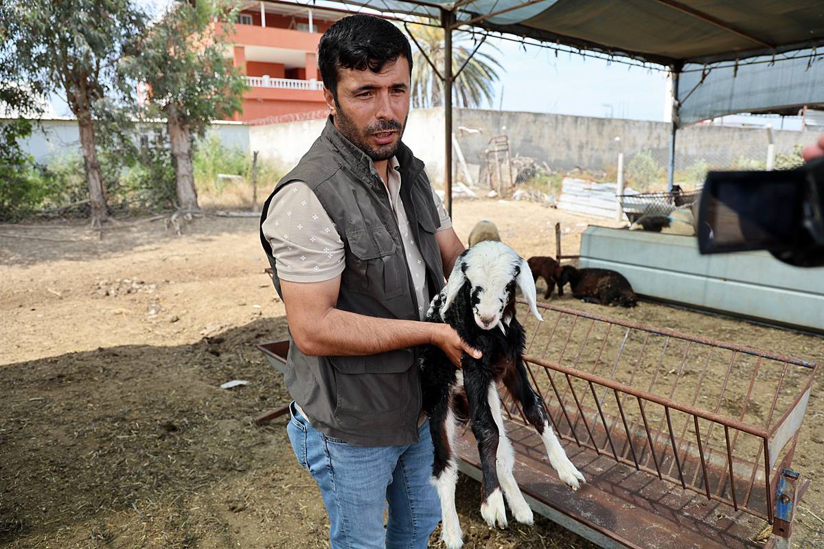 husumetlisinin-hayvanlarini-zehirleyerek-oldurdu-7