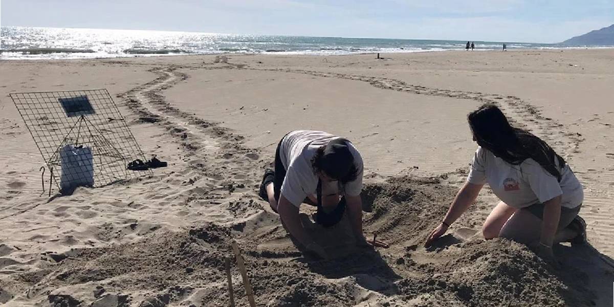 akdeniz-sahillerine-giris-yasagi-3