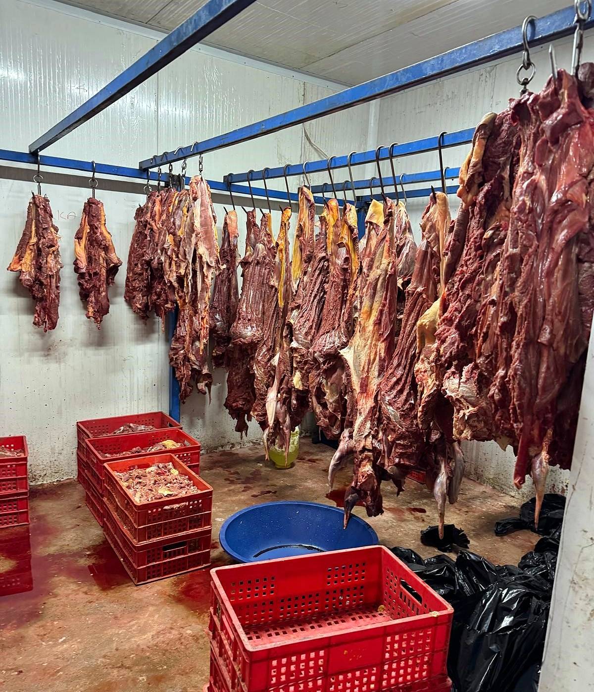 at-ati-satmak-yasak-mi-cezasi-ne-kadar-1