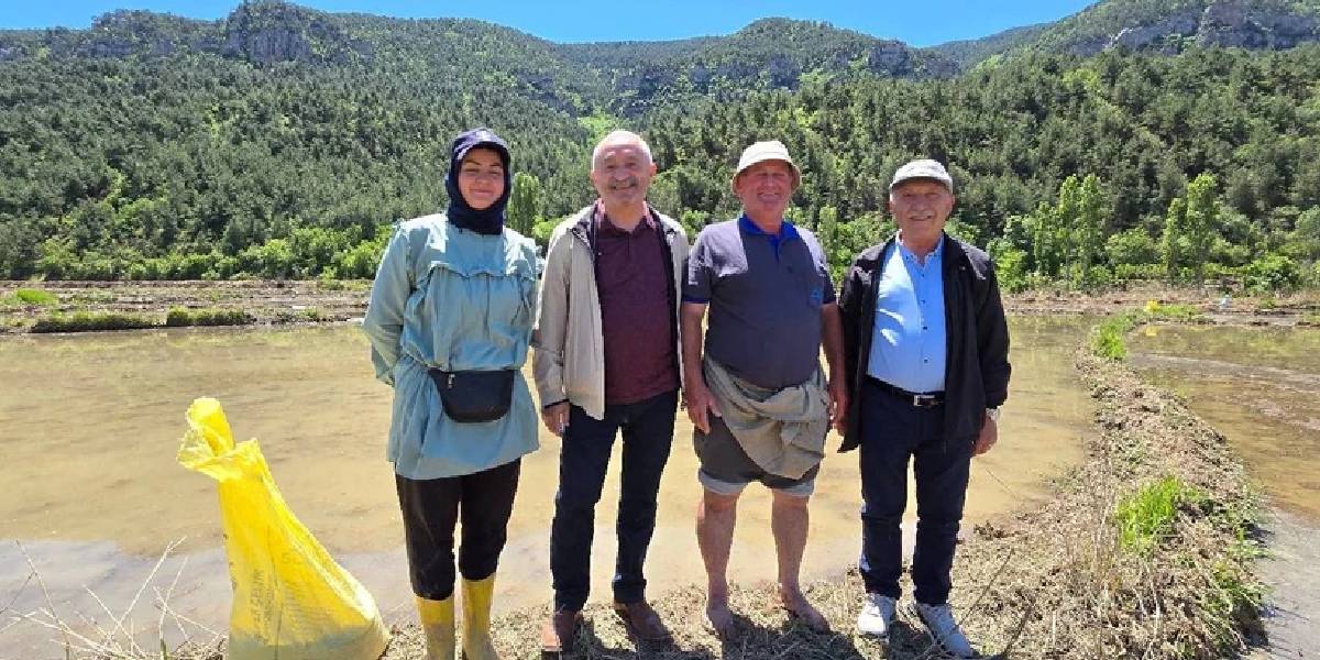 karabukte-celtik-hasadi-2