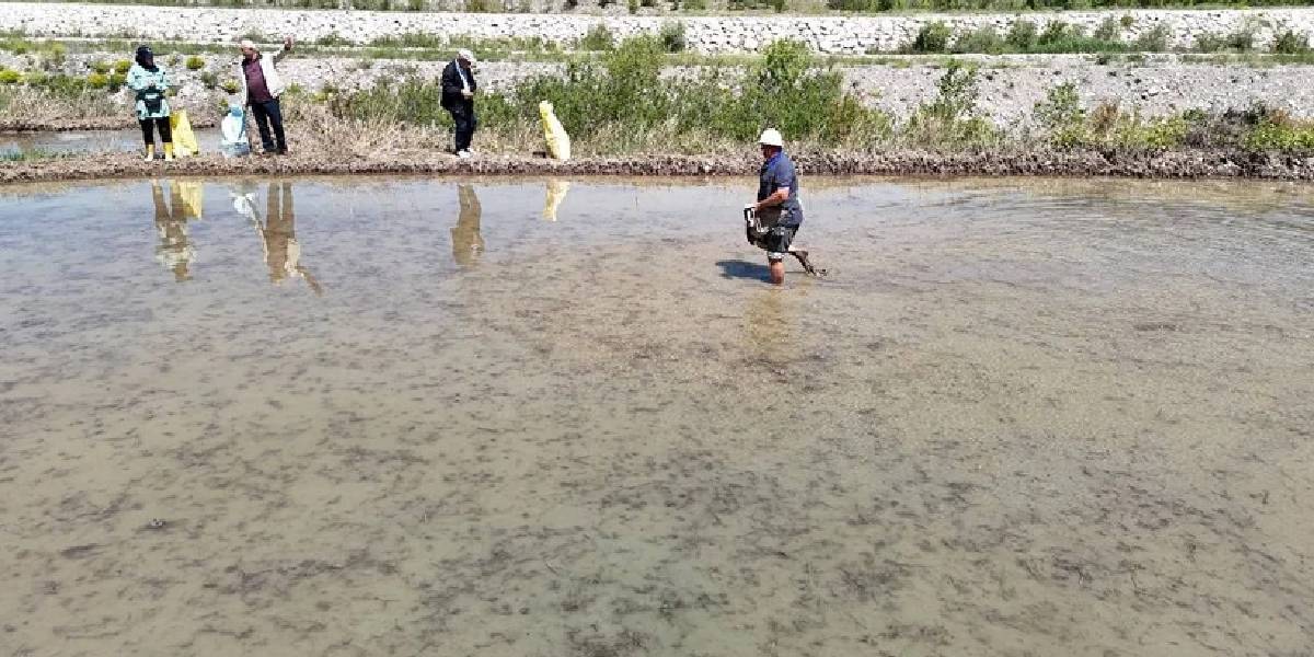 karabukte-celtik-hasadi-3