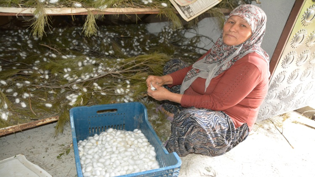 resim-2025-06-09-120134290