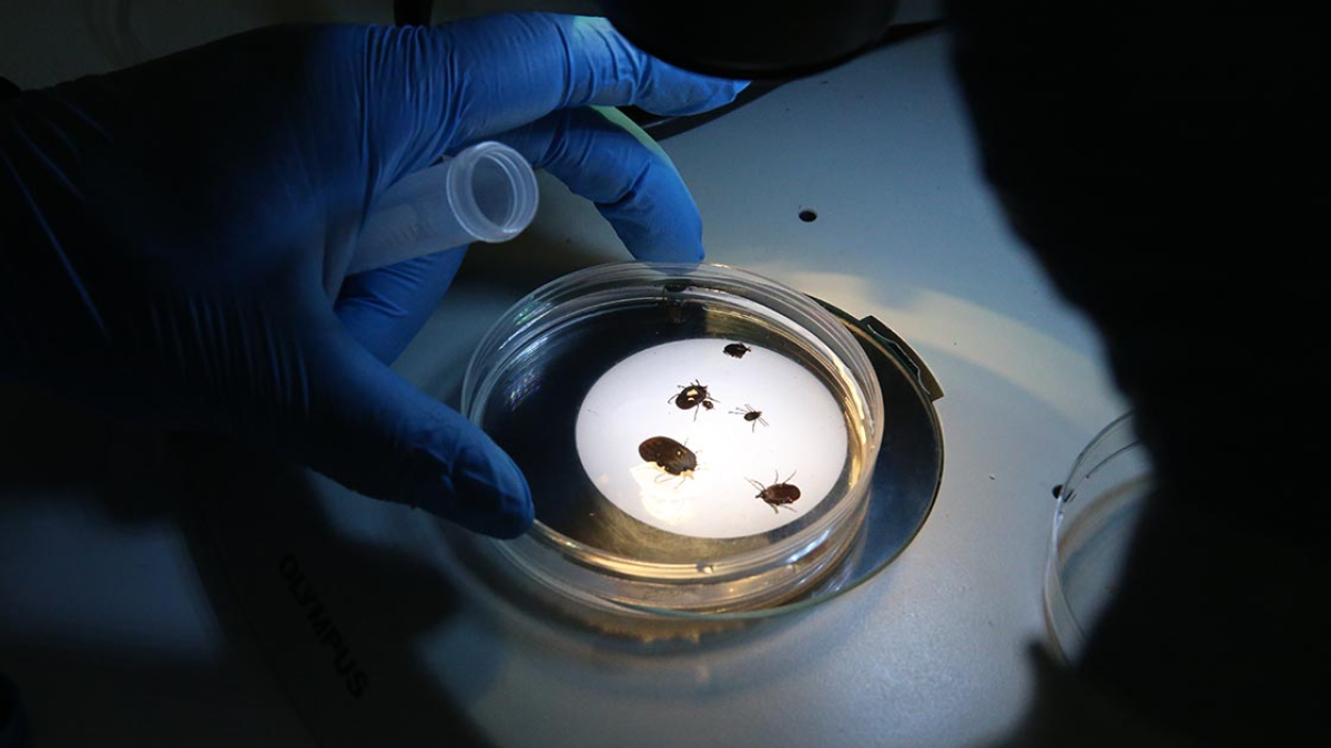 resim-2025-06-09-135931202