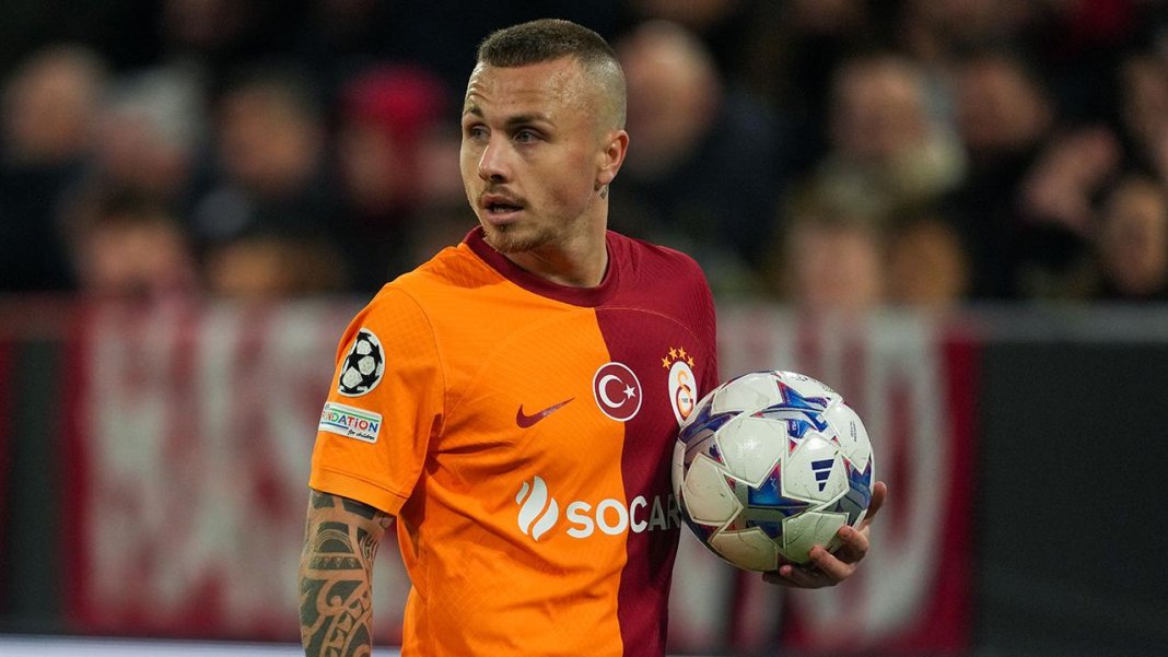angelino-aa-2156255.jpg