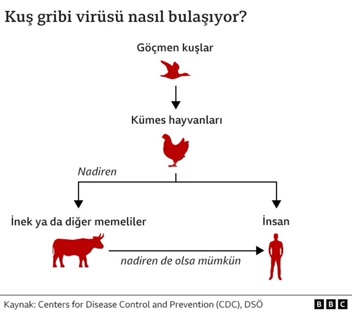 hayvanlardan-insanlara-hastalik-bulasir-mi.jpg