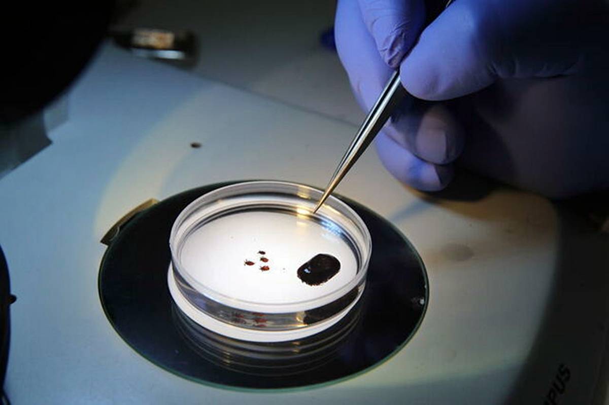 kene-isirmasi-oldurur-mu-kene-isirirsa-ne-yapmaliyiz-4