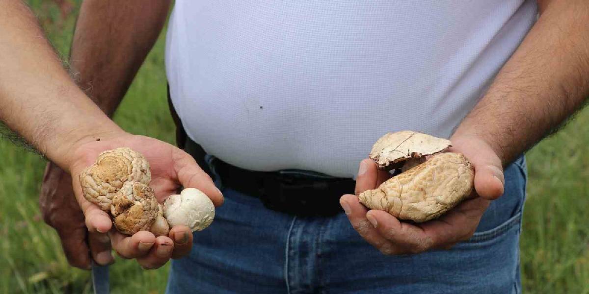 erzincanda-evlek-mantari-1