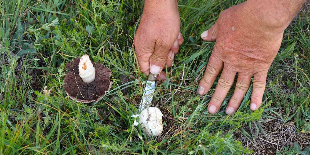 erzincanda-evlek-mantari-2