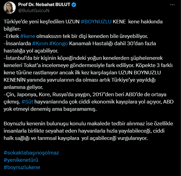 kene-alarm-001.png