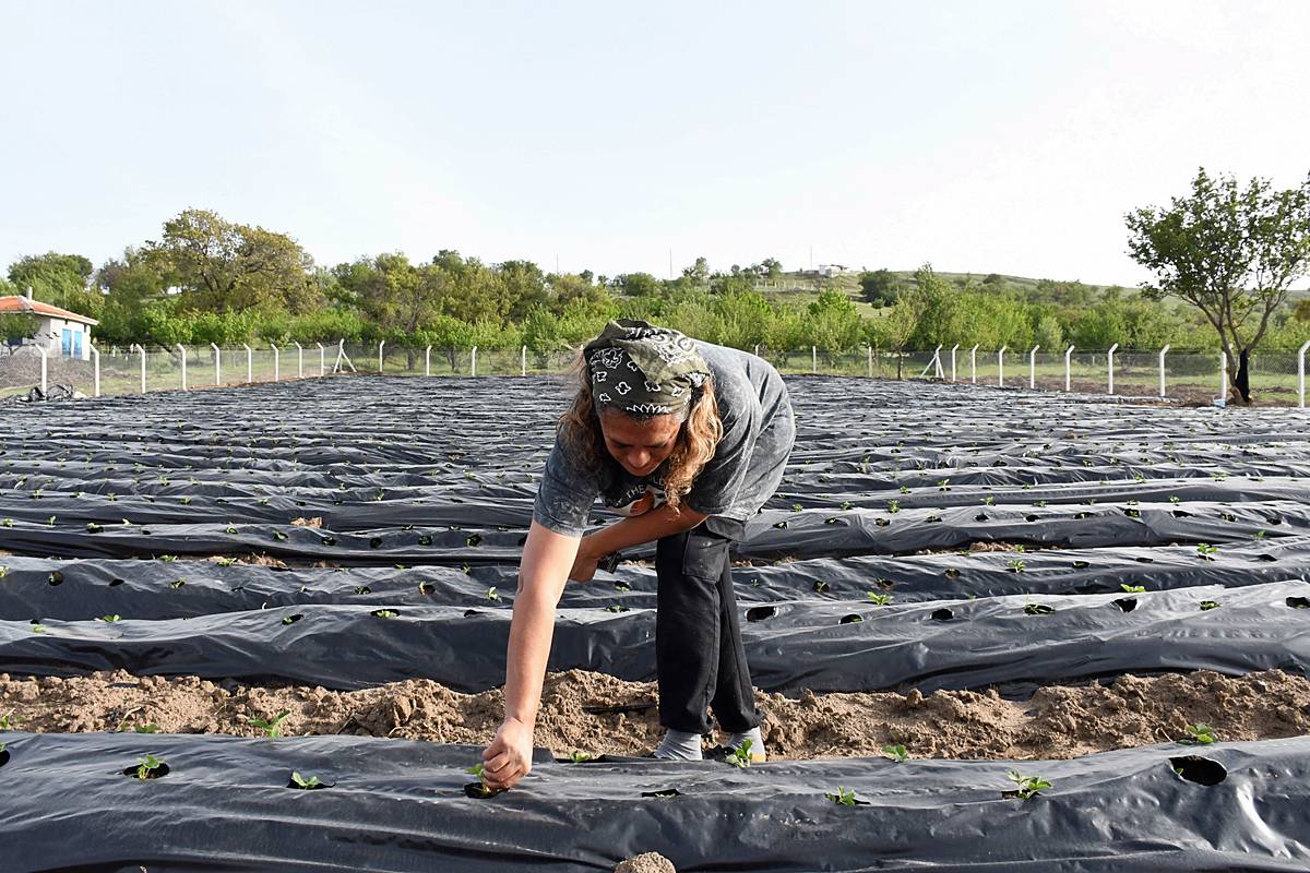 yozgat-sorgun-son-dakika-haberleri-1