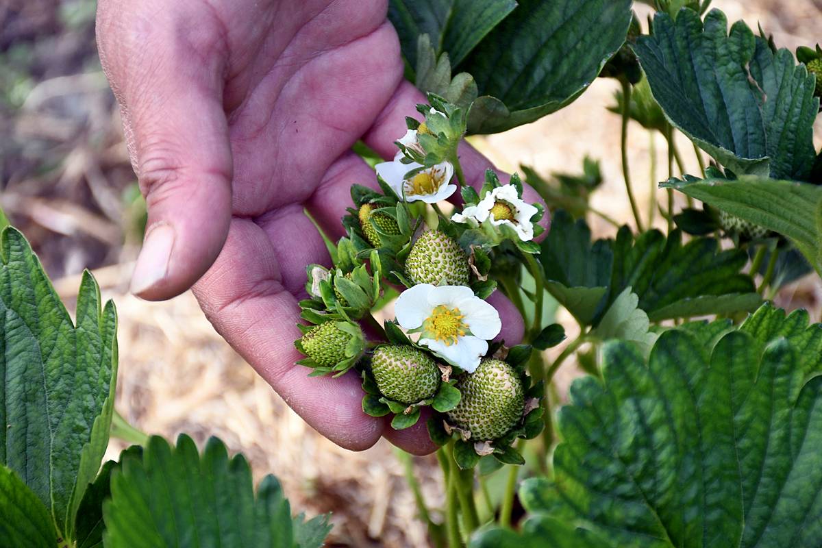 yozgat-sorgun-son-dakika-haberleri-3