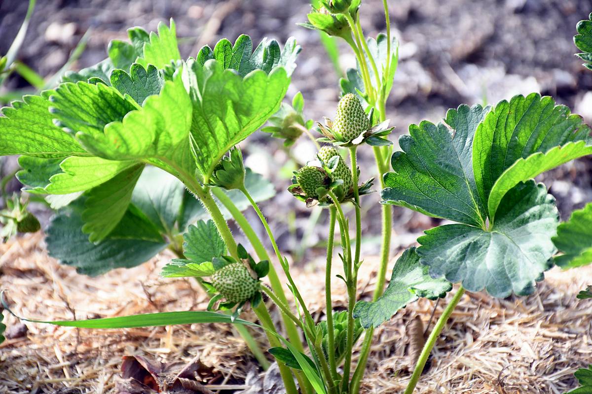 yozgat-sorgun-son-dakika-haberleri-4