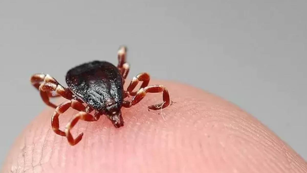 yeni-proje-2025-06-12t120814-212