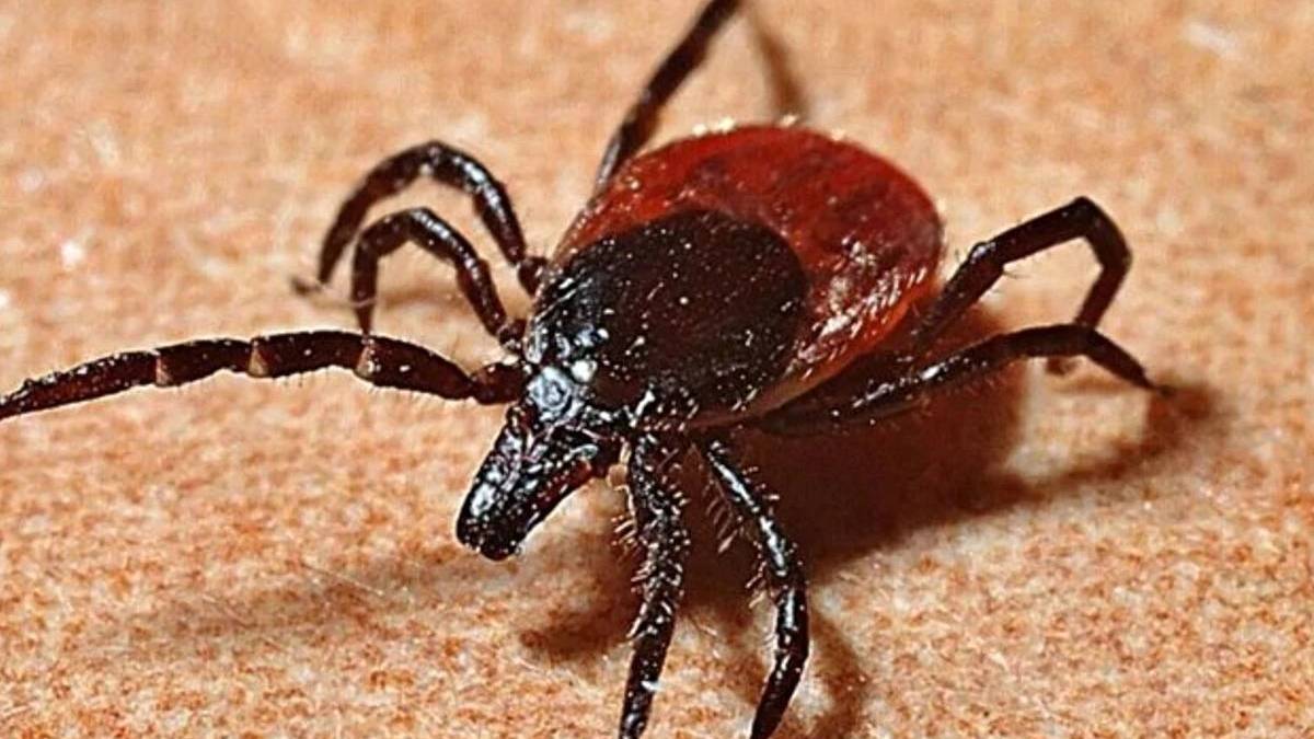 yeni-proje-2025-06-12t120834-864