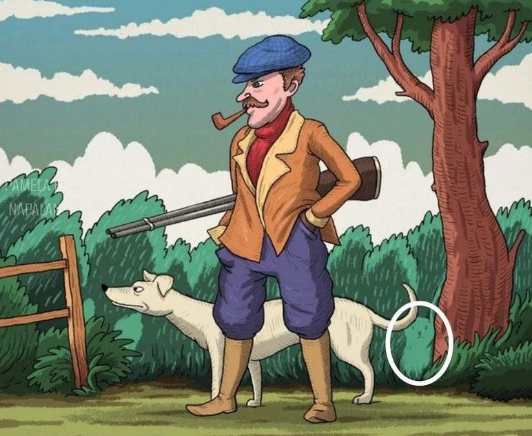 avci-tavsan-yanit.jpg