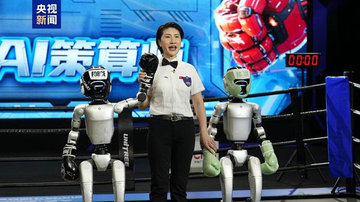 insansi-robot-dovusu-turnuvasi-3.jpg