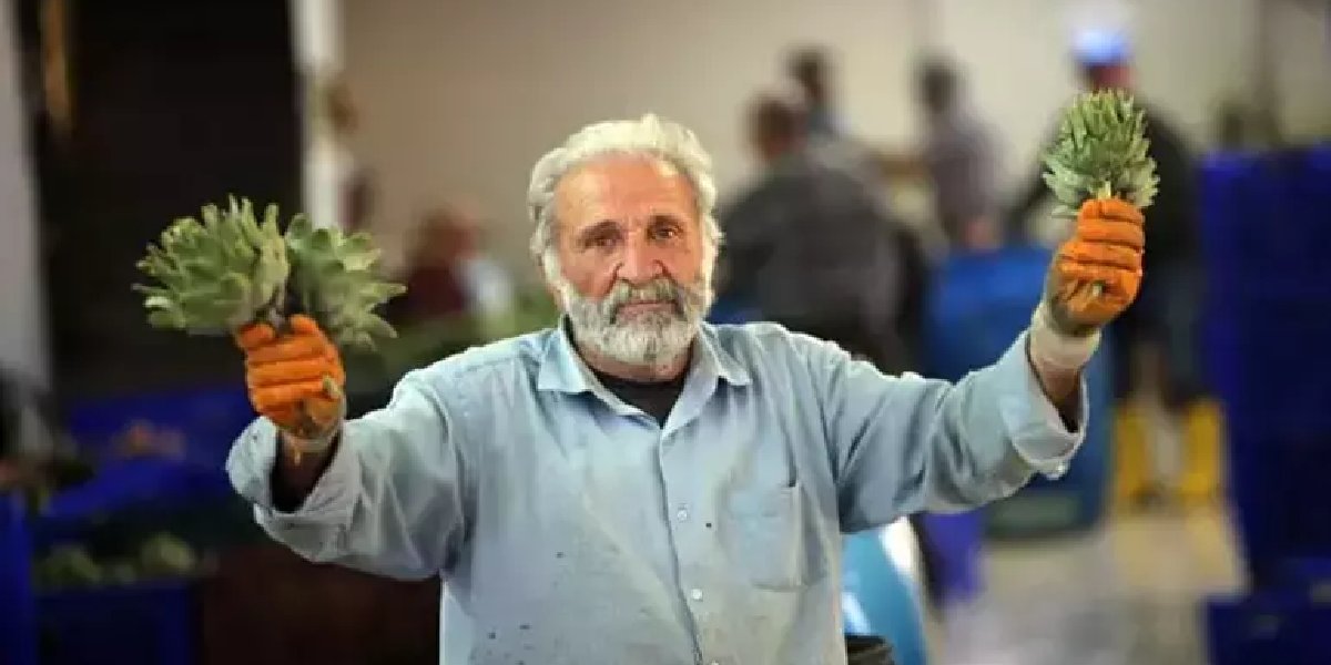 enginar-soymak.jpg