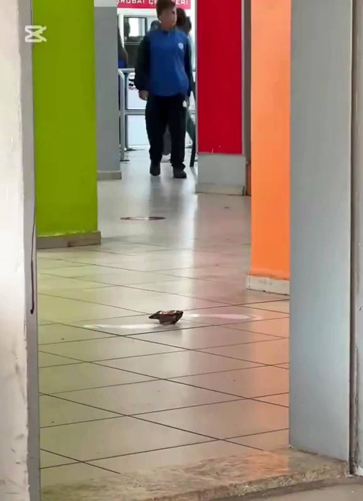 yerdeki-copu-kim-alacak-deneyi-2