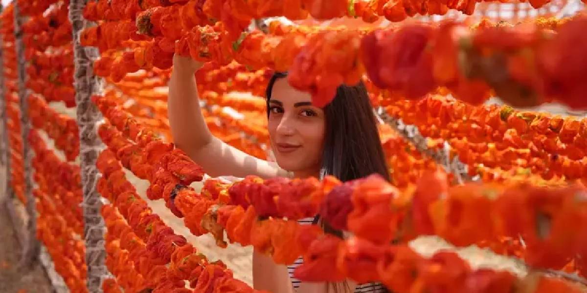 gaziantepte-sebze-kurutma-mevsimi-4.jpg
