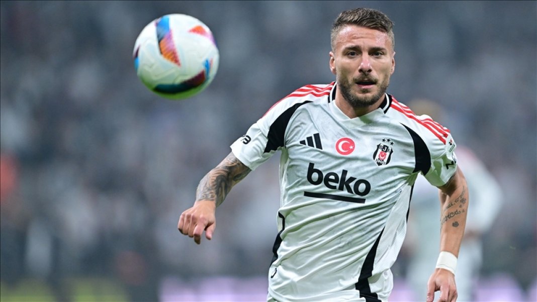 immobile-1.jpg