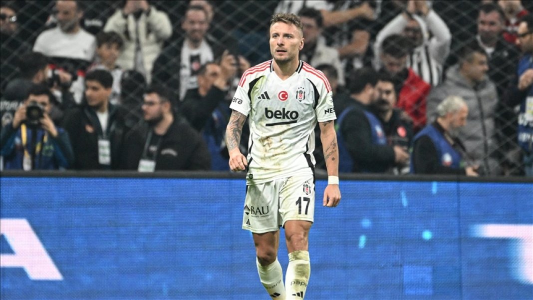 immobile.jpg