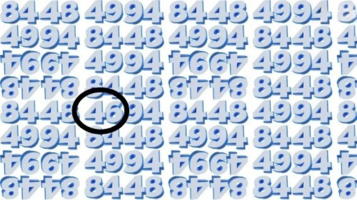 test-yanit-2.jpg