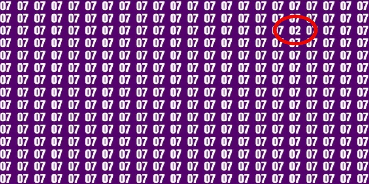 07-test-yanit.jpg