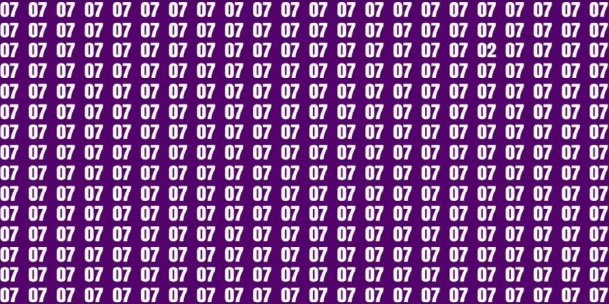 07-test.jpg