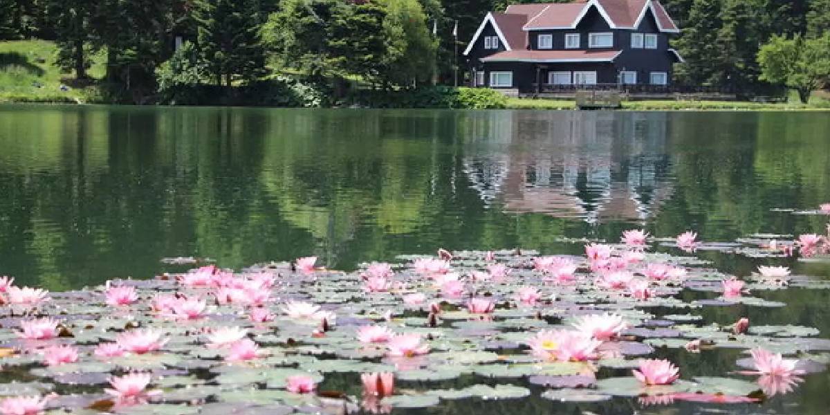 bolu-golcuk-2.jpg