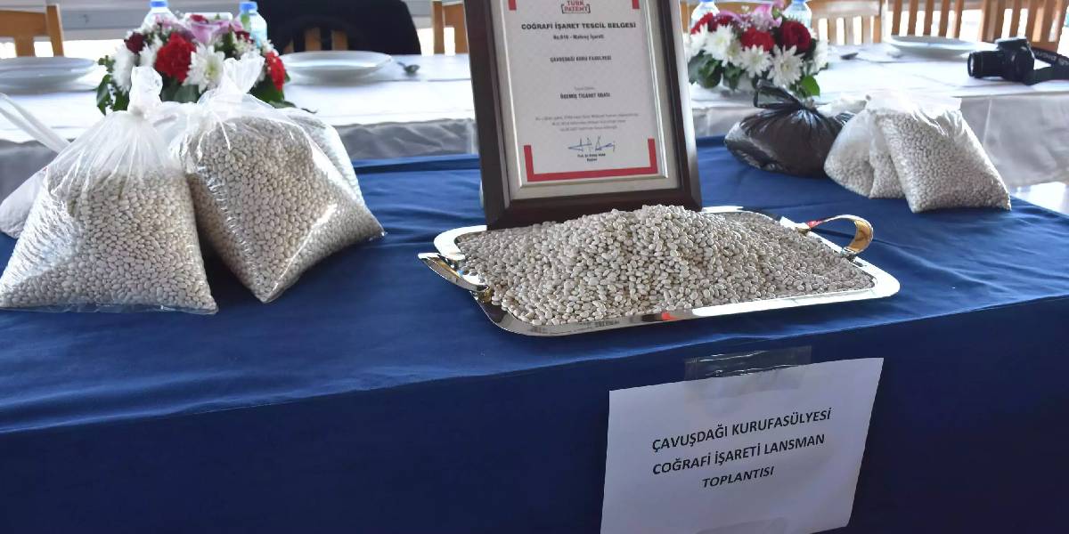 cavusdagi-kuru-fasulyesi-tescillendi-1.jpg