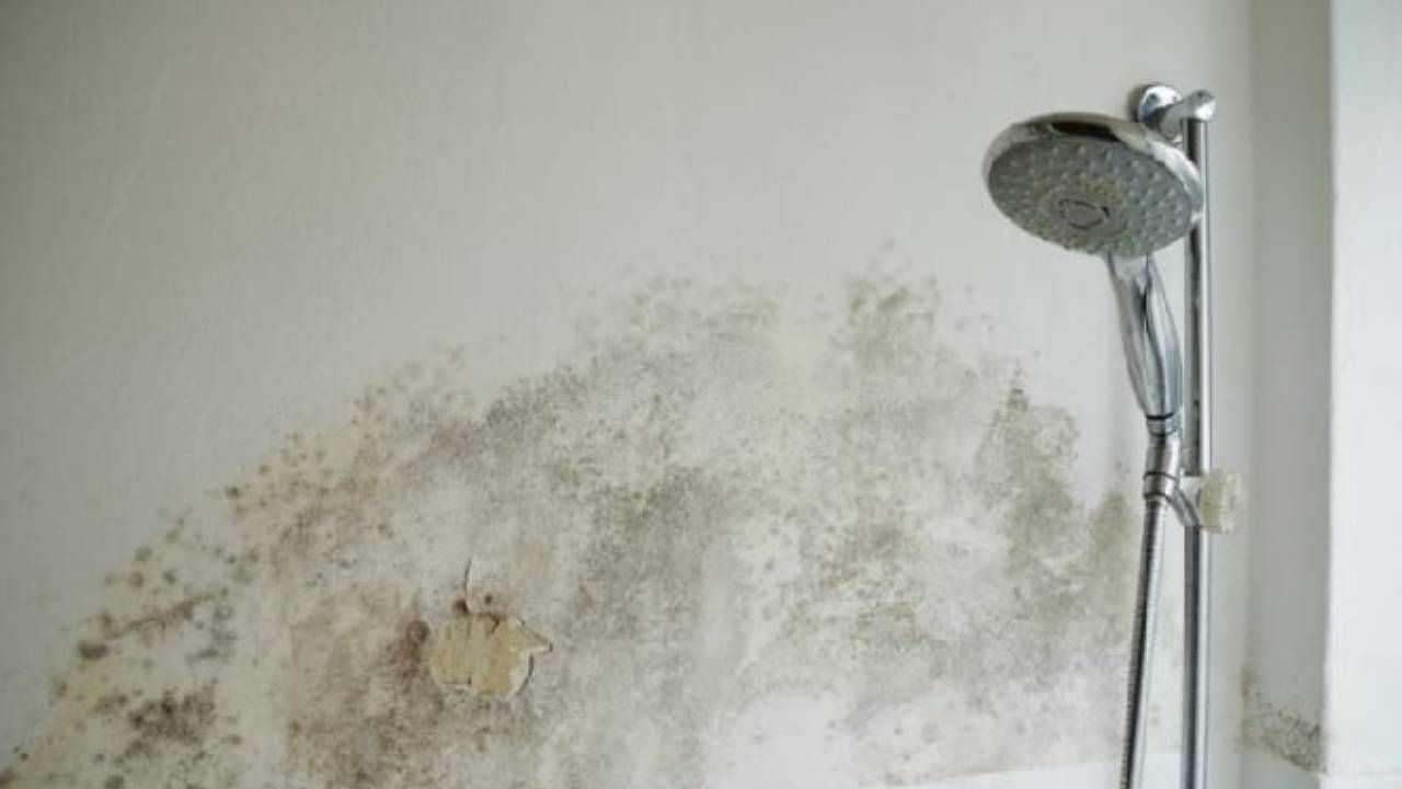 img-20250620-wa0007.jpg