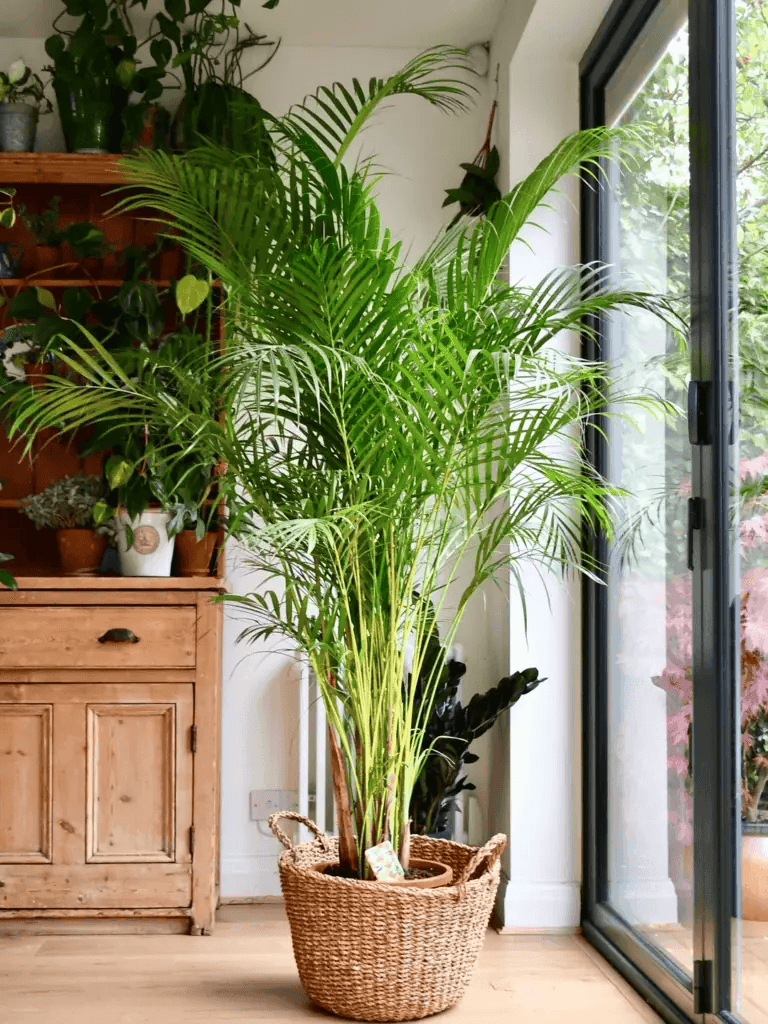 image-1080.png