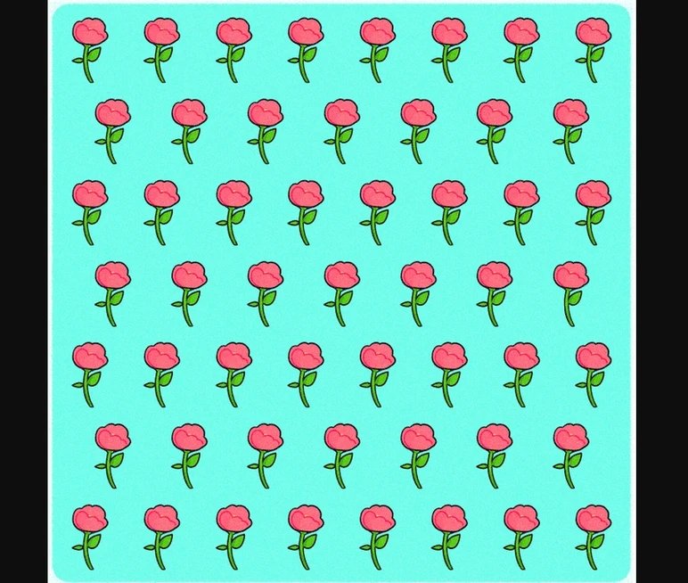gul-test.jpg