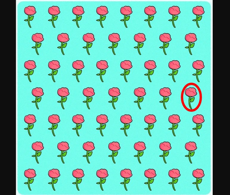 test-gul-yanit.jpg