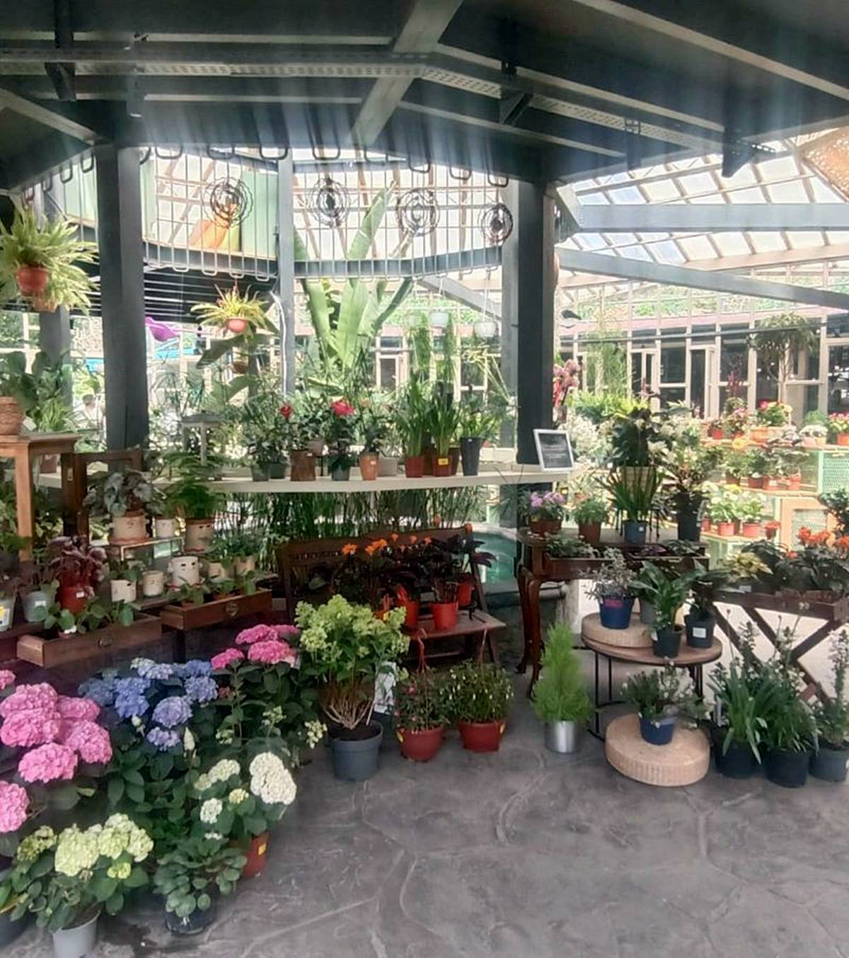 ankara-tarihi-sera-lithops-kafe-nerede-nasil-gidilir-3.jpg