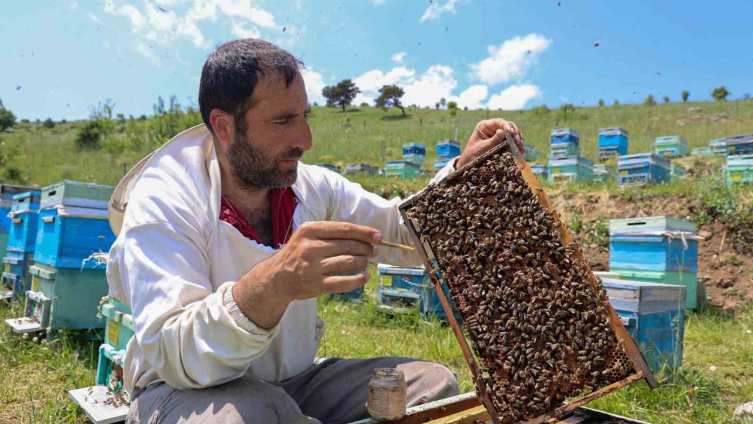 dunyanin-en-pahali-besini-kilogrami-45-bin-lira-2