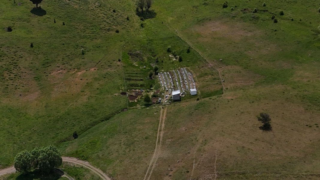 dunyanin-en-pahali-besini-kilogrami-45-bin-lira-3