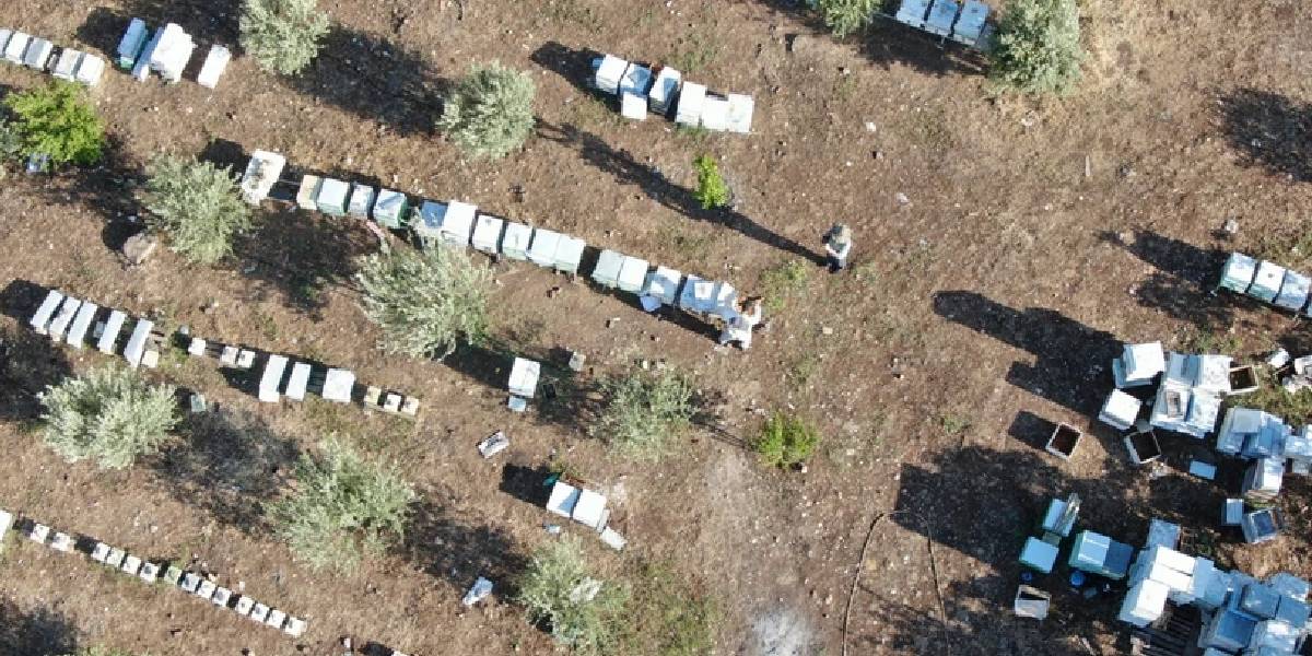 gaziantepte-aricilik-yapan-mehmet-ucar-1