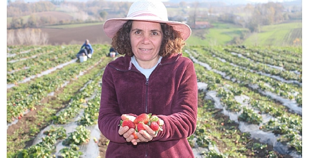 gulsen-hekimoglu-tarim