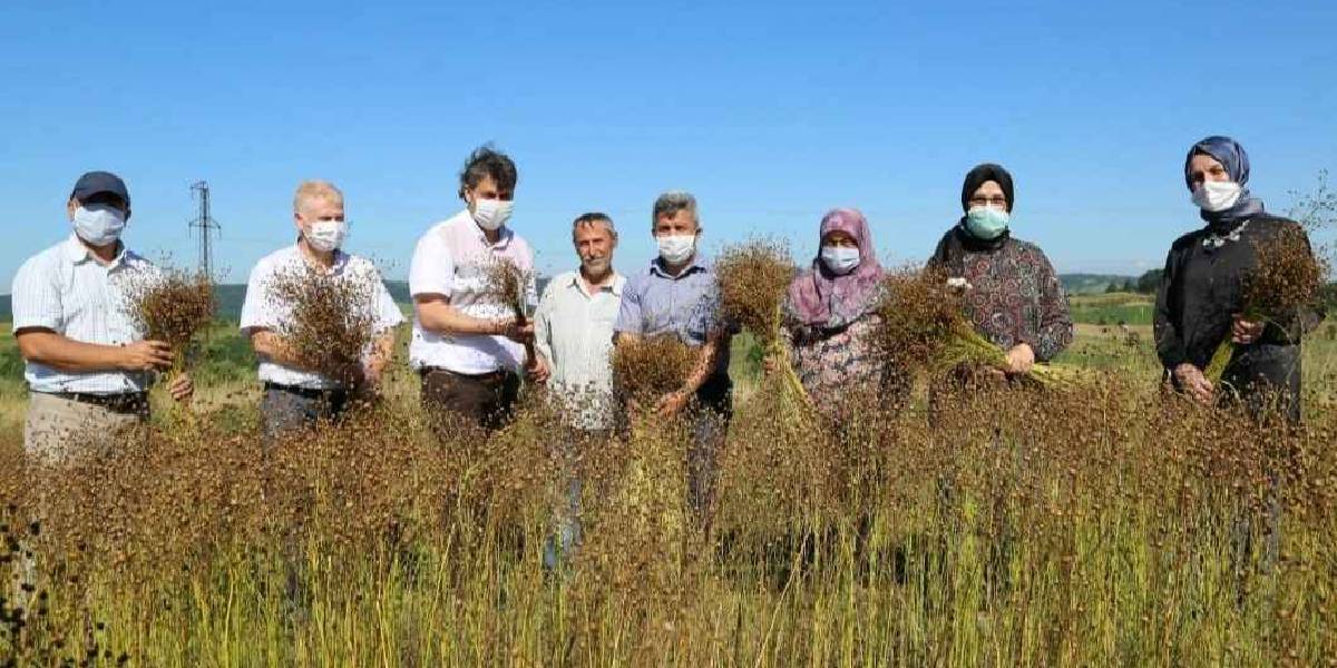 kocaelide-keten-hasadi-1