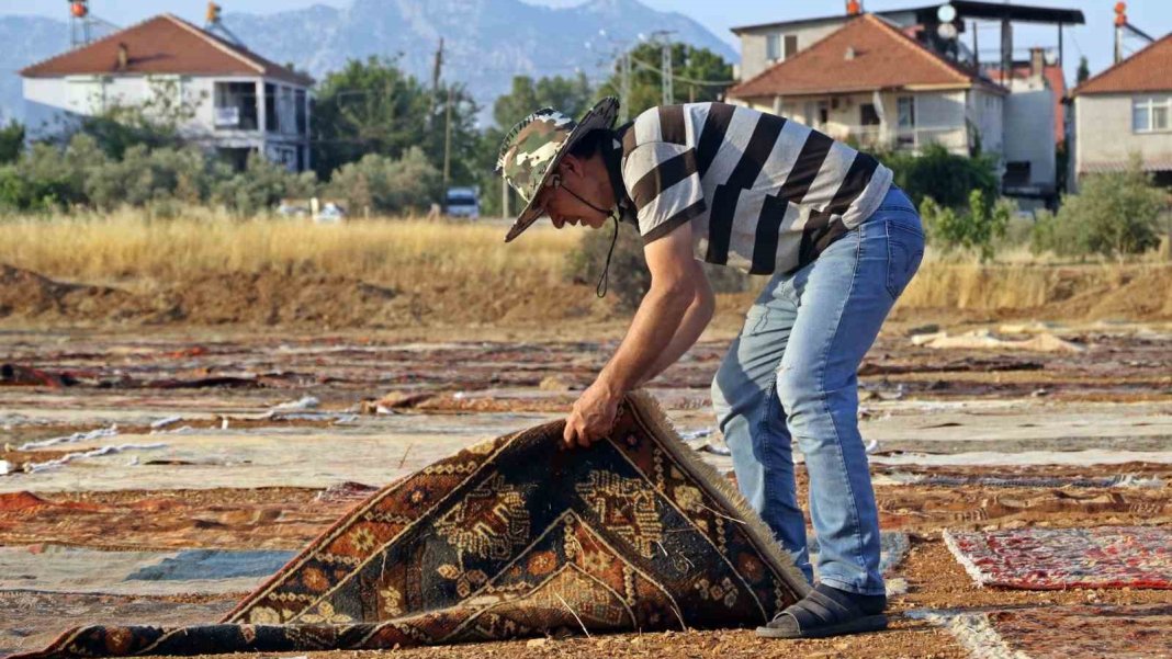 turkiyenin-o-ilcesinde-servet-sakli-sabahlara-kadar-bekleniyor-bu-arazilere-kimse-yaklasamiyor-4