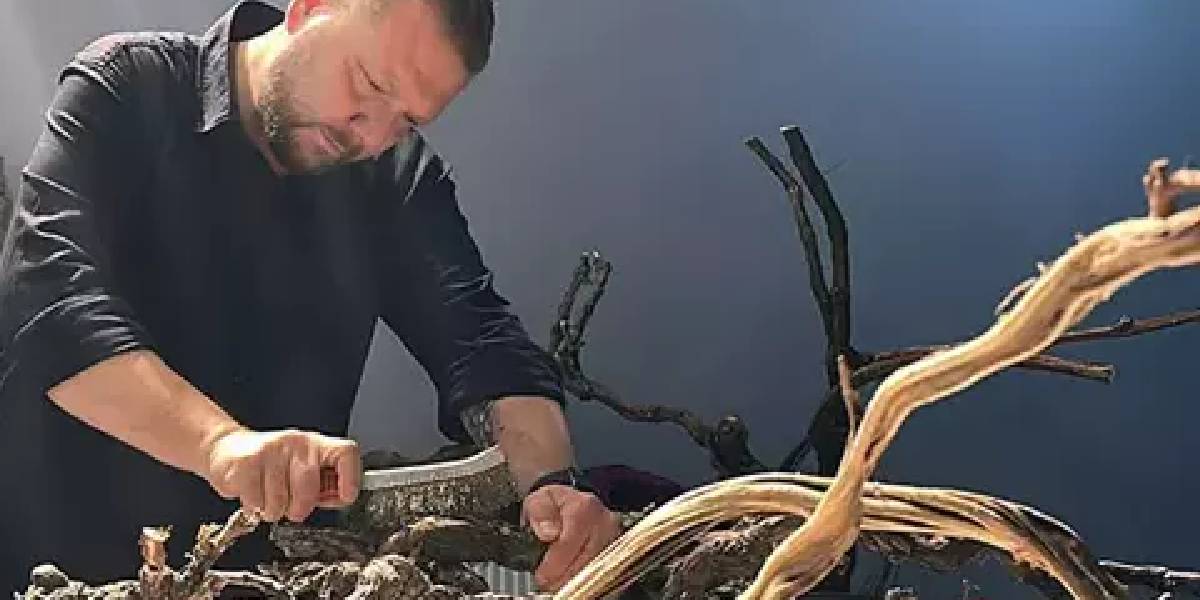 edirnede-kurumus-agaclar-1