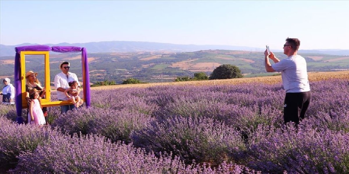 lavanta-bahcesi-tekirdag