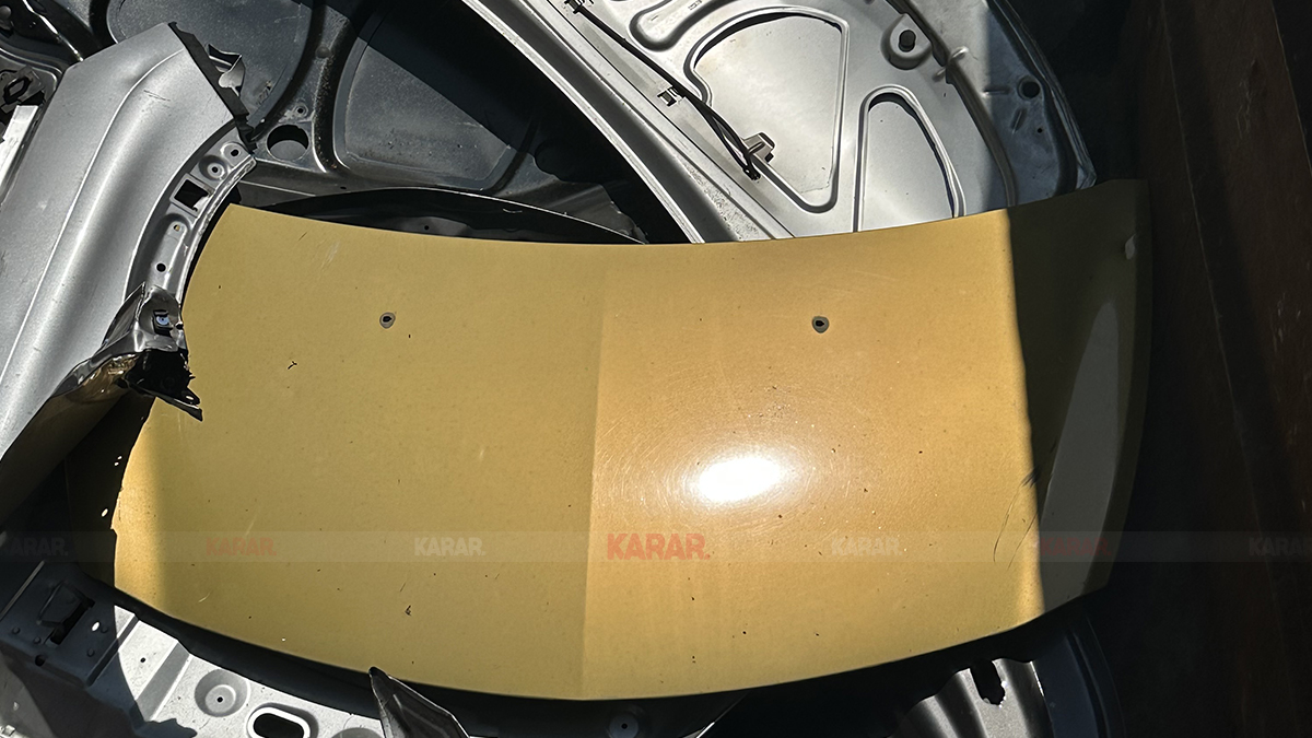 the-future-is-natural-hurda