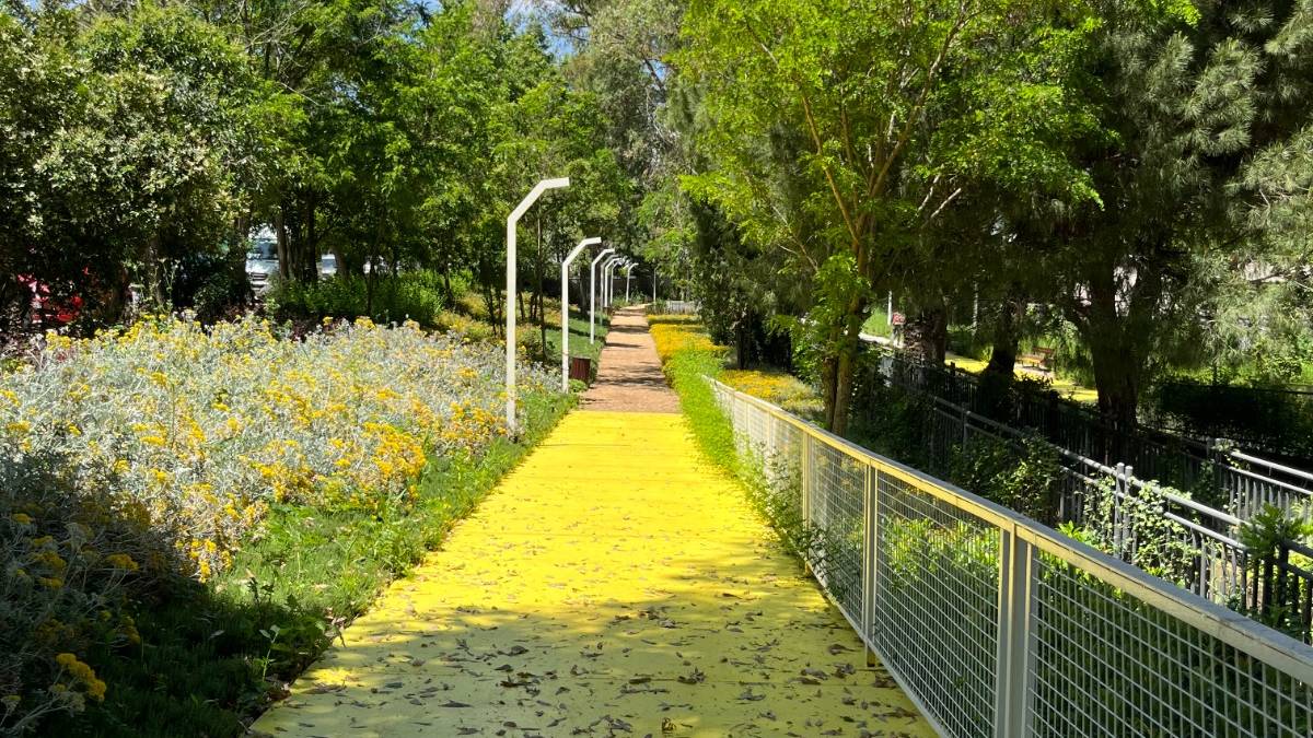 yeni-proje-2025-06-26t142923-260