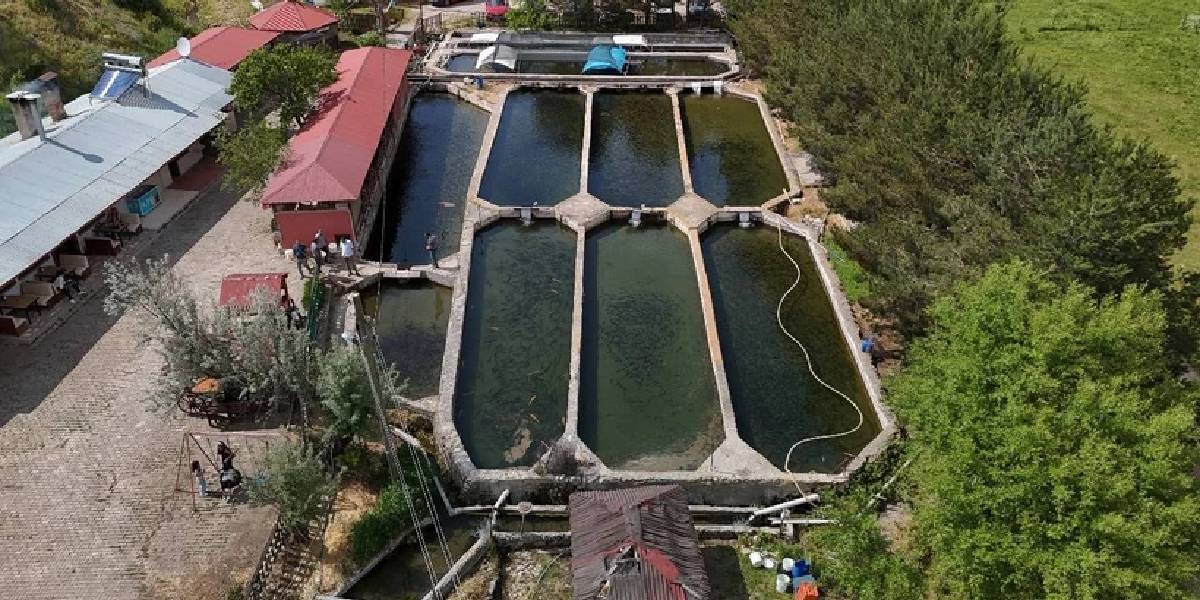 sivasta-alabalik-uretimi-1