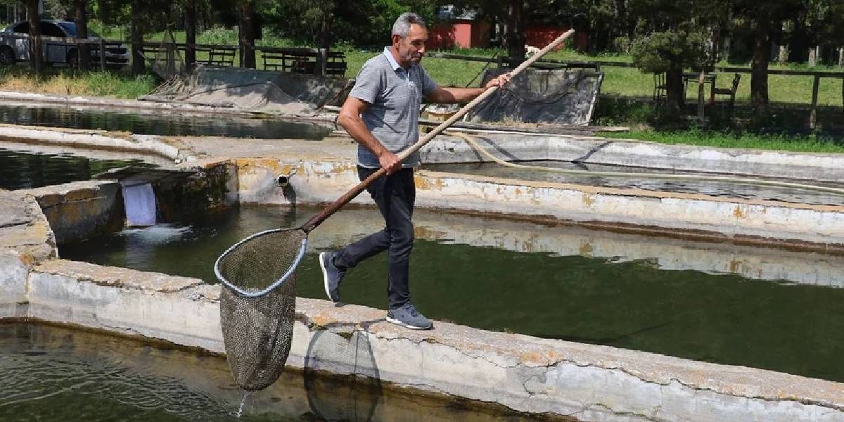 sivasta-alabalik-uretimi-2