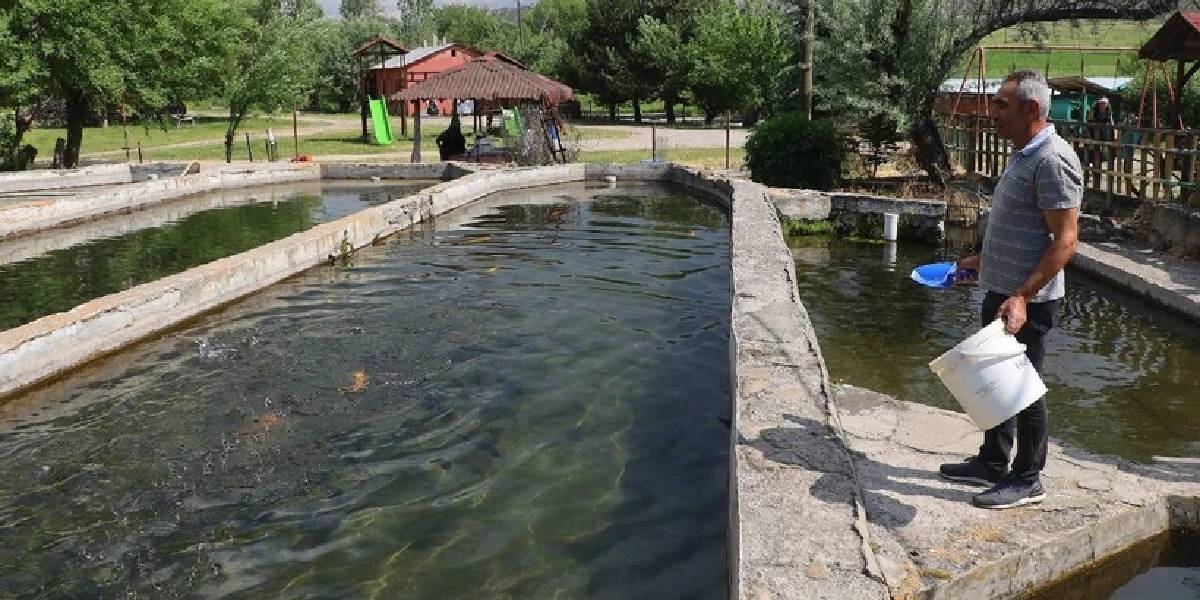 sivasta-alabalik-uretimi-4